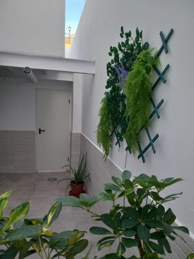 Apartamentos De La Haya & Suite Con Jacuzzi, Junto Al Teatro Romano Mérida Eksteriør billede