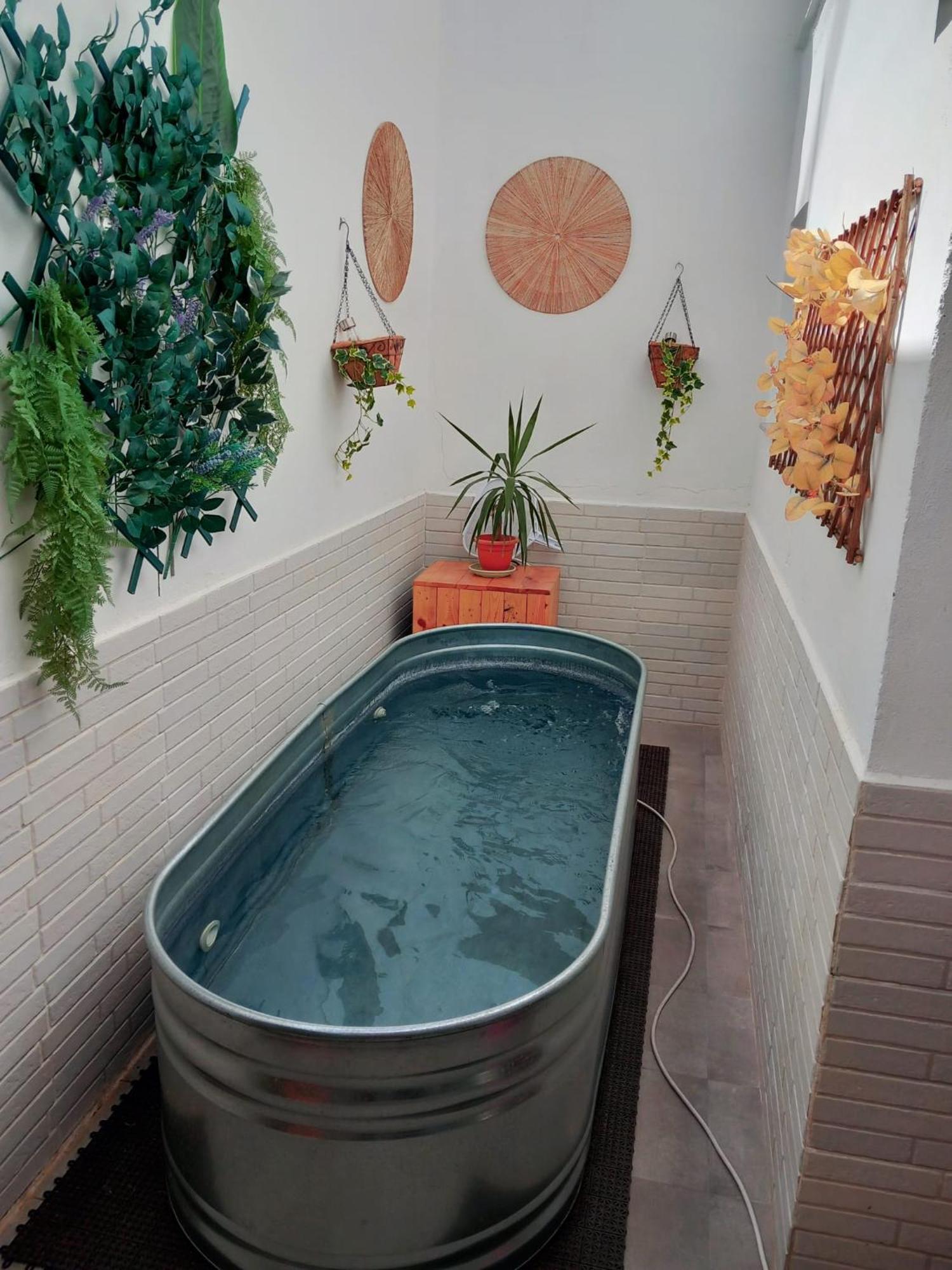Apartamentos De La Haya & Suite Con Jacuzzi, Junto Al Teatro Romano Mérida Eksteriør billede